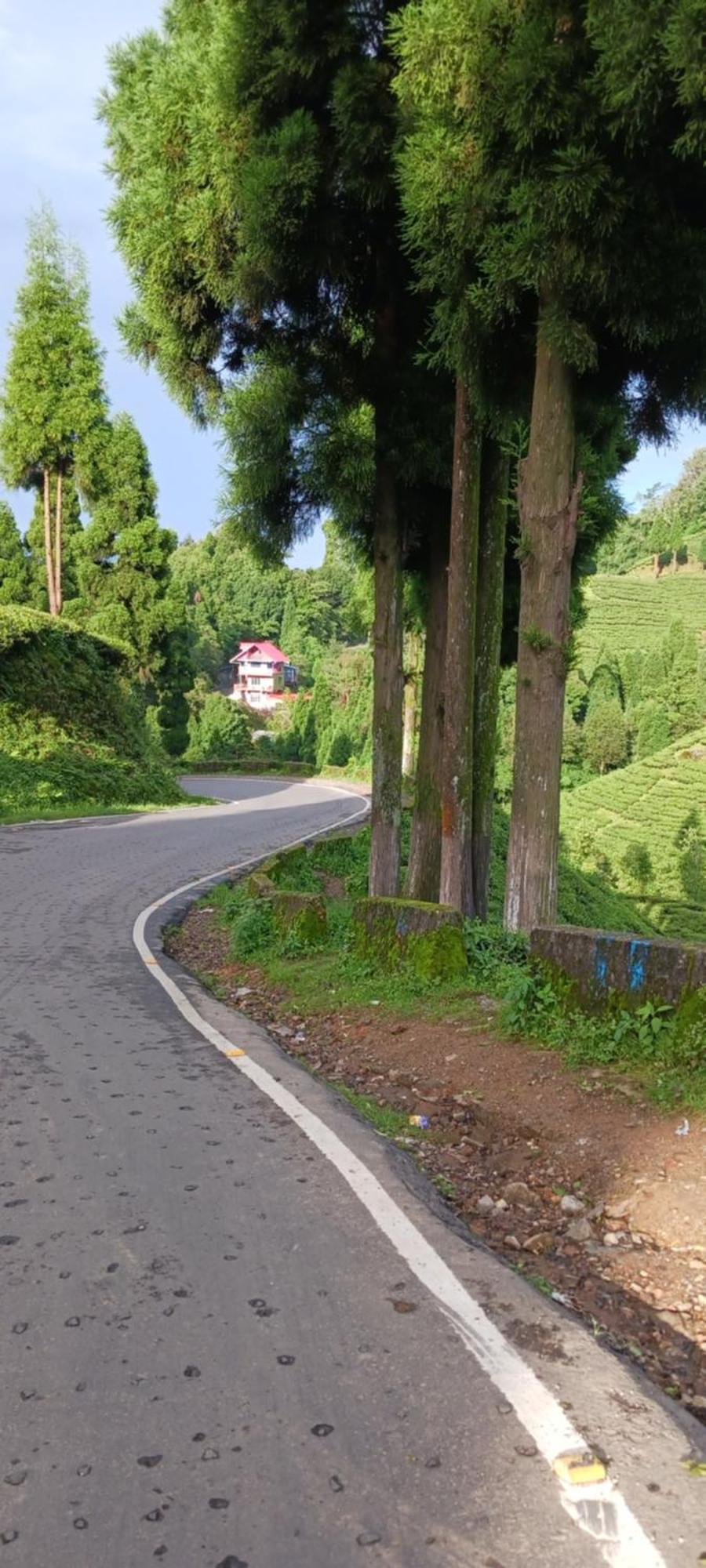 Lotus Homestay Darjeeling  Bagian luar foto